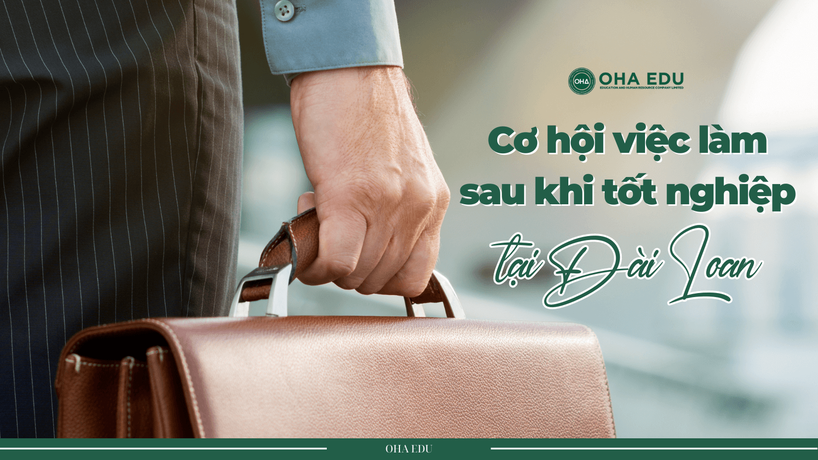 CO HOI VIEC LAM SAU TOT NGHIEP